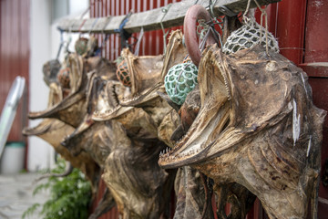 Dried Fish Heads