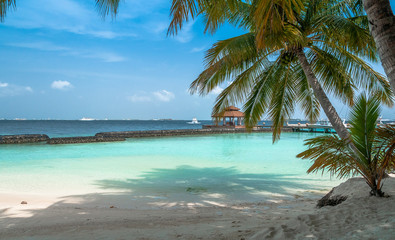 Fototapeta na wymiar Palm trees making shadow on the beach. Chill out. Maldives 