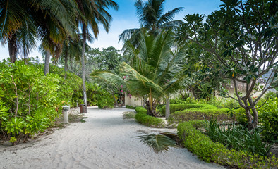 Tropical garden. Eco resort. Vacation on paradise. 
