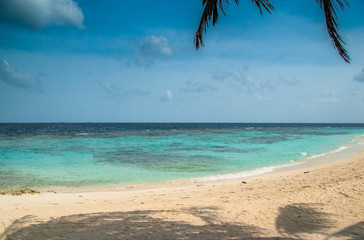 Fototapeta na wymiar In a shadow on the palms on the beach. Maldives 