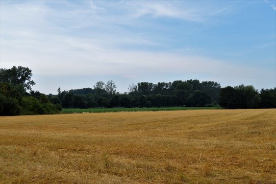 Stoppelfeld am linken Niederrhein (Kleinenbroich Pesch) Juli 2018