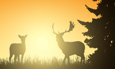 Deer and hind in a meadow with a tree, with the rising sun behind the background