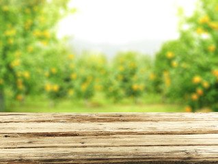 Fototapeta premium Table background and summer time 