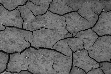 Dry cracked grey earth background