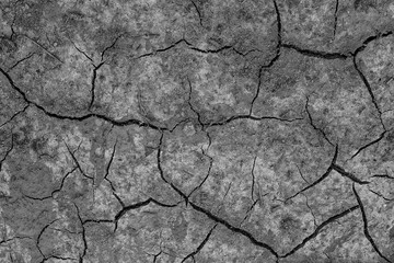 Dry cracked grey earth background