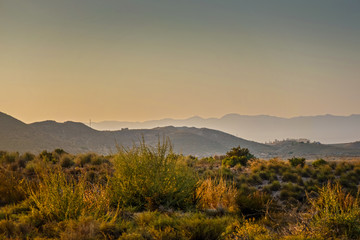 Serene landscape in natural park, Almeria