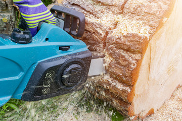 Chainsaw. Chainsaw in move cutting wood. Man cutting wood with saw. Dust and movements. Close-up of...