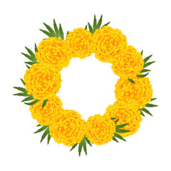 Obraz premium Marigold Flower - Tagetes Wreath