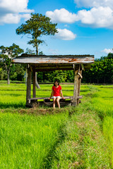 A woman sitting on a wooden shack in the rice field.