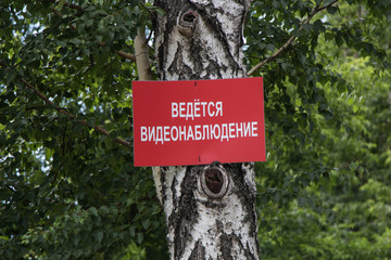 Предупреждающая табличка о видеонаблюдение размещена на дереве