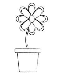 Beautiful flower in a pot icon over white background, vector illustration