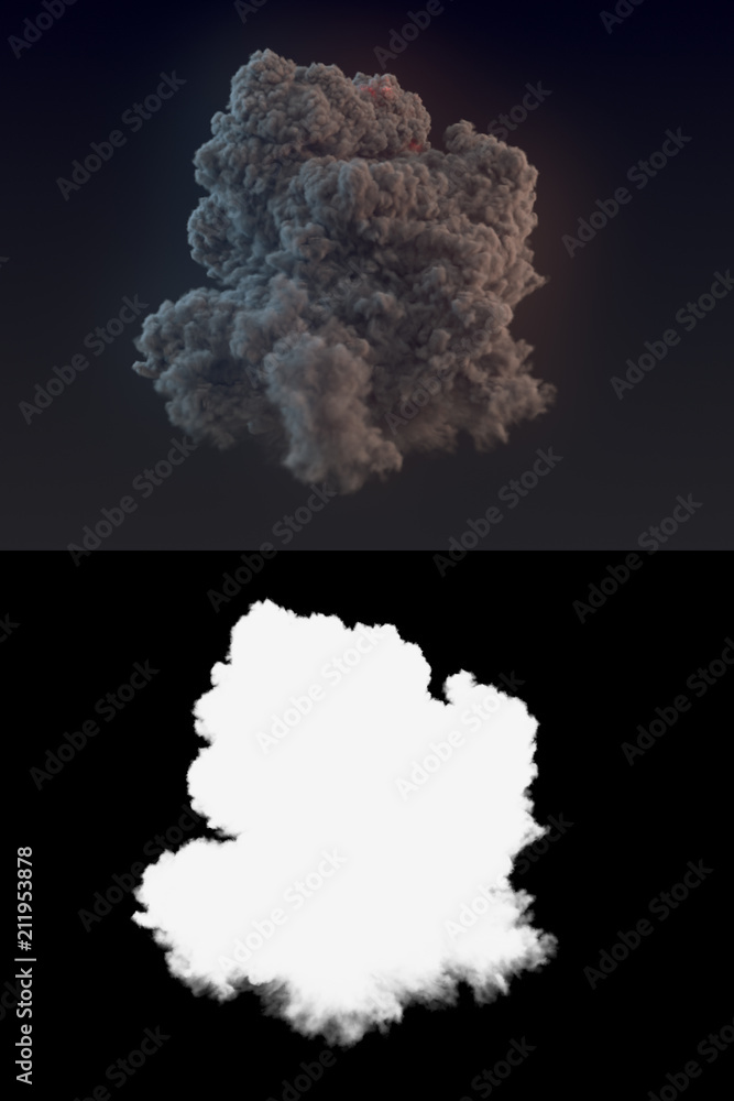 Leinwandbilder dangerous cloud of dark smoke after an explosion with alpha channel. 3d rendering