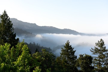 view of fog rising from valley