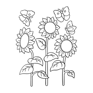 Sunflower cartoon illustration isolated on white background for children color book