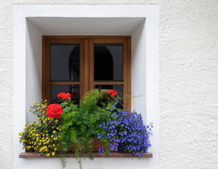 Fototapeta na wymiar Flowers at the window