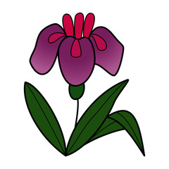 Flower cartoon illustration isolated on white background for children color book