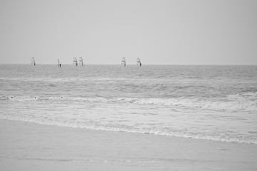 Windsurfers riding the waves