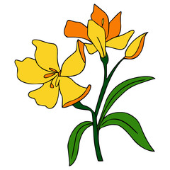 Flower cartoon illustration isolated on white background for children color book © Huy