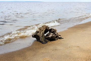 Log on the Volga river