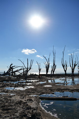 Mar Chiquita, Córdoba, Argentina 