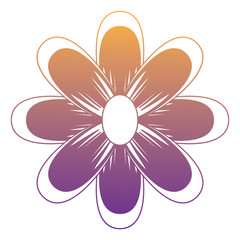 beautiful flower icon over white background, colorful design. vector illustration
