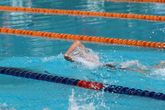 Swimmer swims free style, front crawl or forward crawl stroke in a swimming pool for competition or race