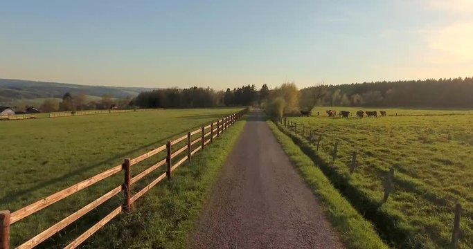 Rural landscape with dirt road between green fields