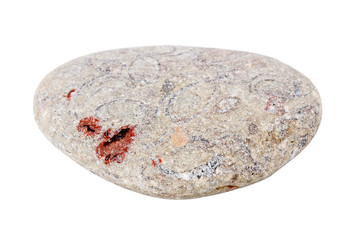 Sea stone isolated on white background