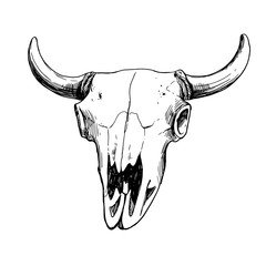 Hand drawn vector illustration - skull animal. Vintage. Boho style. Perfect for T-shirts, clothes, postcards