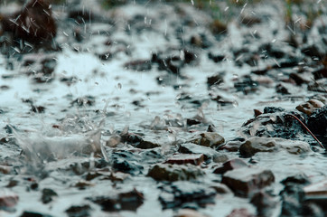 Fototapeta premium Drops of heavy rain on water