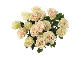 Flower white bouquet background.