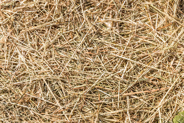 Hintergrund Stroh