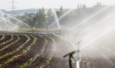 Watering crops in western Germany with Irrigation system using sprinklers in a cultivated field.
