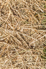 Hintergrund Stroh