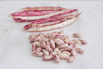 Fresh organic cranberry beans isolated Roman beans Kidney beans Country style Harvesting concept Local market Grocery store Vegetarian food Protein source White wooden background Copy space Top view