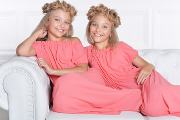 two adorable twin sisters in beautiful pink dresses