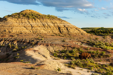 The Petrified Forest Trail at Theodore Roosevelt National Park, North Dakota