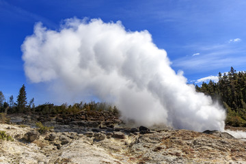 Fototapeta na wymiar June 4th Eruption of Steamboat Geyser in Yellowstone