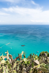 Mediterranean maquis, plants and sea in Calabria, Italy