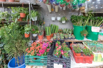 Crédence de cuisine en verre imprimé Fleuriste Plants Shop China