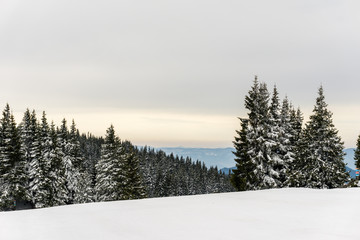 Mountain landscape