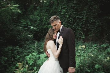 Fototapeta premium view from green leaves on a kissing wedding couple