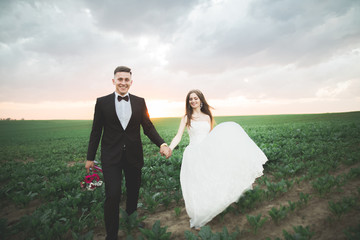 Beautiful wedding couple, love on the sunset. Fielf with flowers