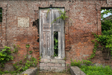 Fototapeta na wymiar old brick wall with an old door and growths