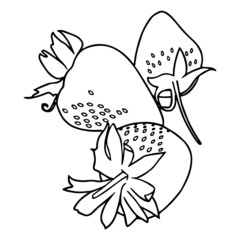 Cute strawberry cartoon illustration isolated on white background for children color book