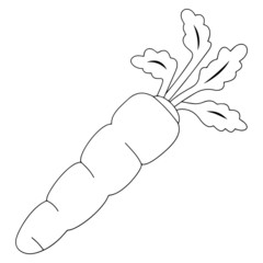 Cute carrot cartoon illustration isolated on white background for children color book