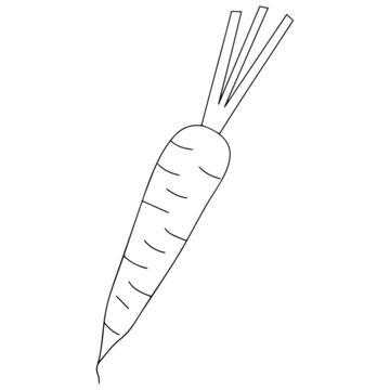 Cute carrot cartoon illustration isolated on white background for children color book
