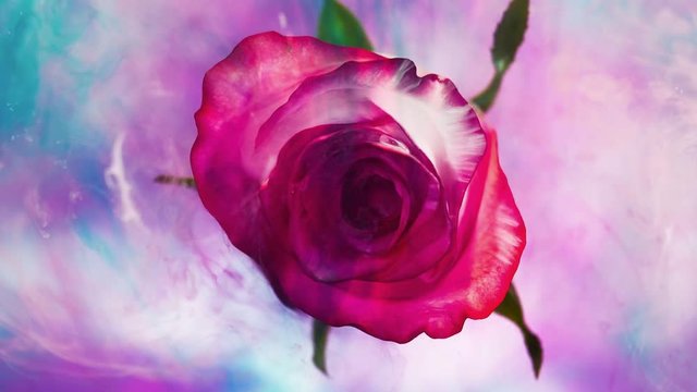 Top view of the colorful spreading paint on a beautiful spinning flower.