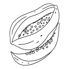 Papaya cartoon illustration isolated on white background for children color book