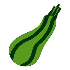 Calabash cartoon illustration isolated on white background for children color book